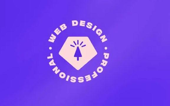 Ran-Segall-Web-Design-Becoming-a-Professional