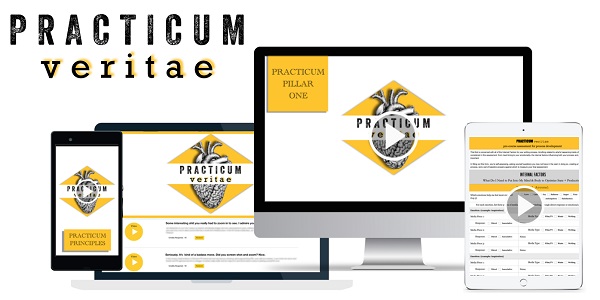 John Romaniello – Practicum Veritae (writing course)