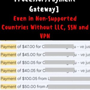 create-a-verified-payment-processor-payment-gateway-even-in-non-supported-countries-without-llc-ssn-vpn