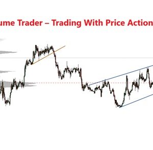 price-action-volume-trader-trading-with-price-action-volume-profile