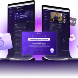 gtm-engineering-stackoptimise-course-felix-and-penn