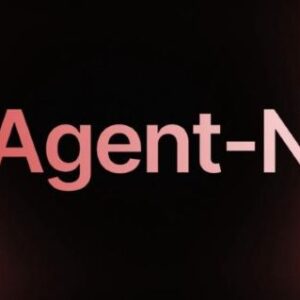 agent-n-pro-noah-epstein