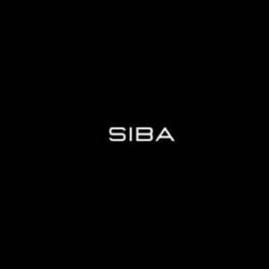 siba-ecom-mastermind-salif-sibane